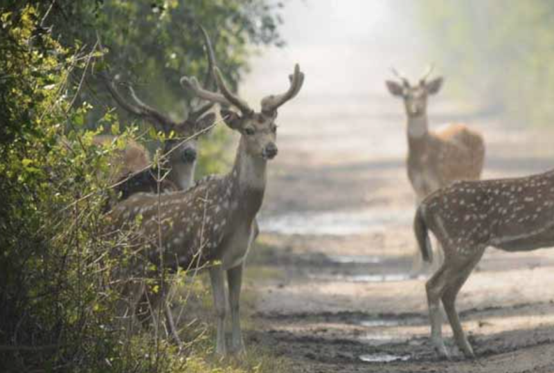 Screenshot 2024 09 17 at 11.09.33 AM